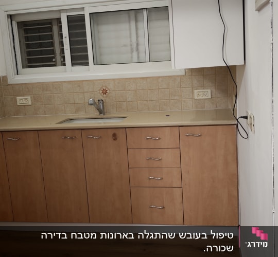 מטבח קטן עם ארונות עץ וכיור